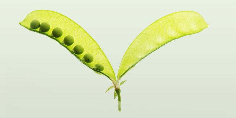 Harvard Business Review: How workers shift from one industry to another